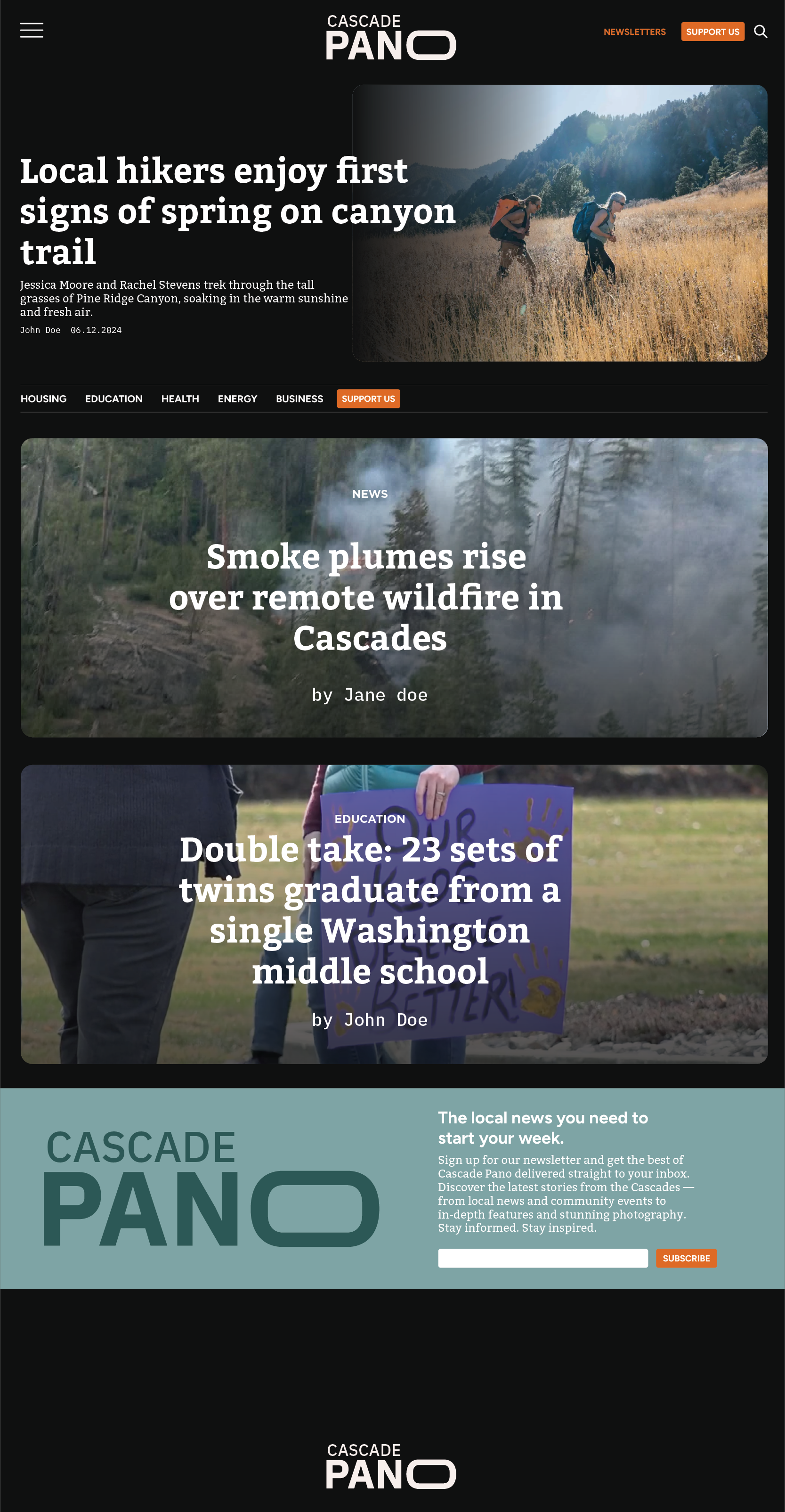 Website Mockup - Dark