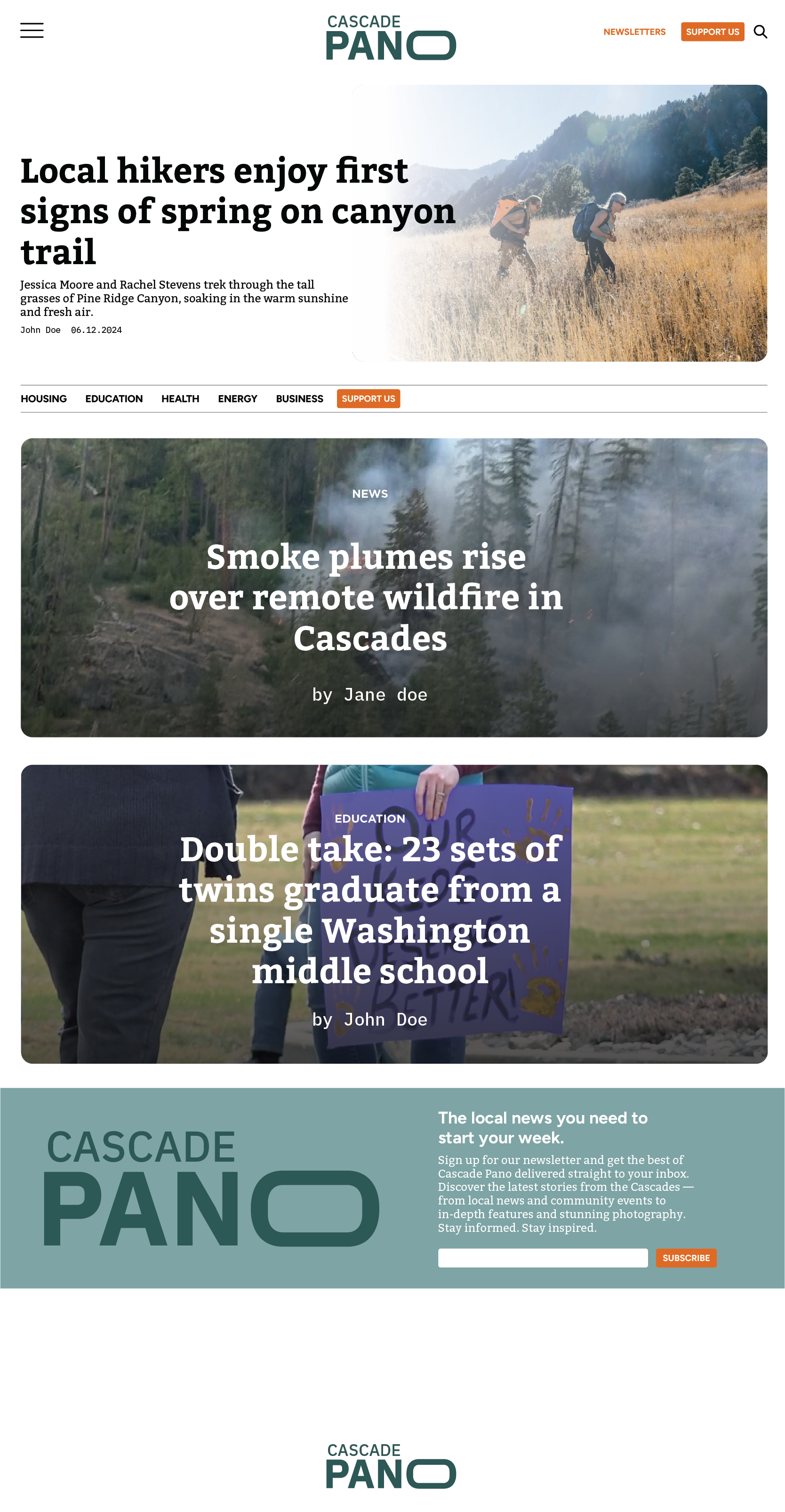 Website Mockup - Light